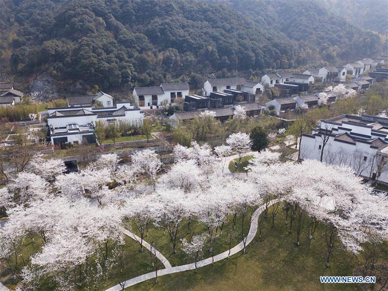 Galeria: Panorama aéreo da chegada da Primavera na China