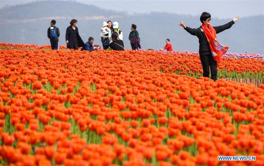 Galeria: Turistas saem de casa para apreciar flores em toda a China