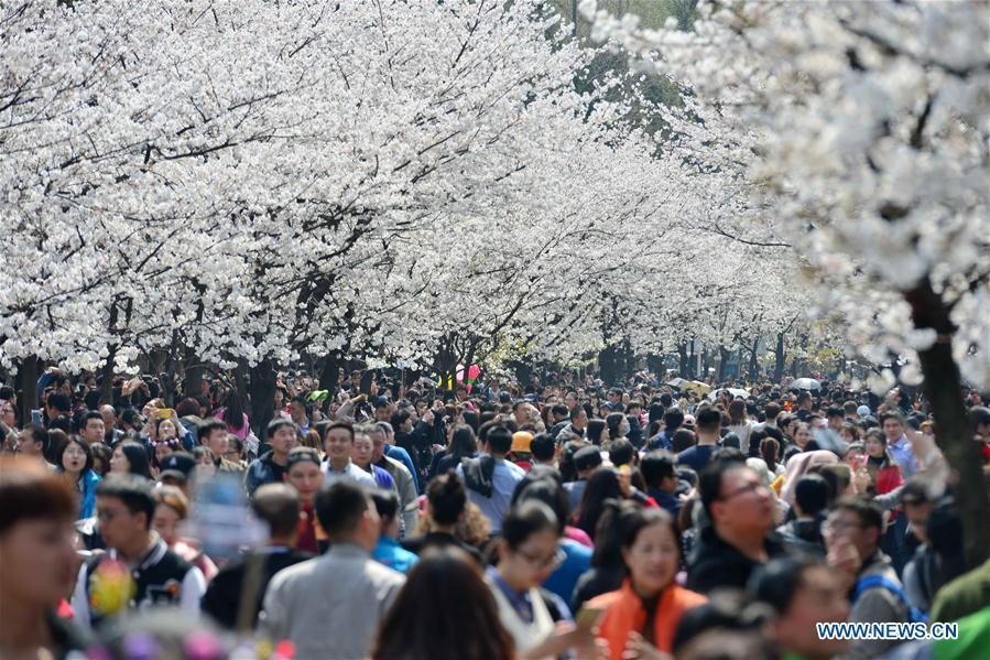 Galeria: Turistas saem de casa para apreciar flores em toda a China