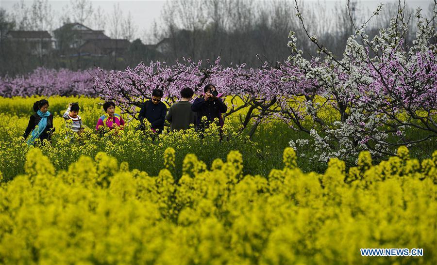 Galeria: Turistas saem de casa para apreciar flores em toda a China