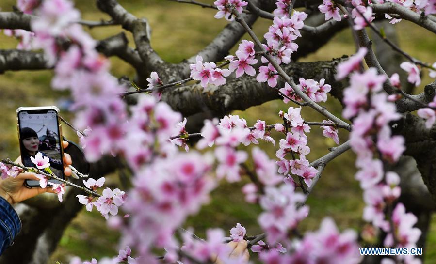 Galeria: Turistas saem de casa para apreciar flores em toda a China