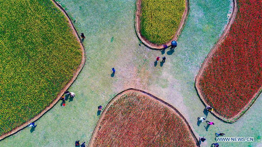 Galeria: Turistas saem de casa para apreciar flores em toda a China