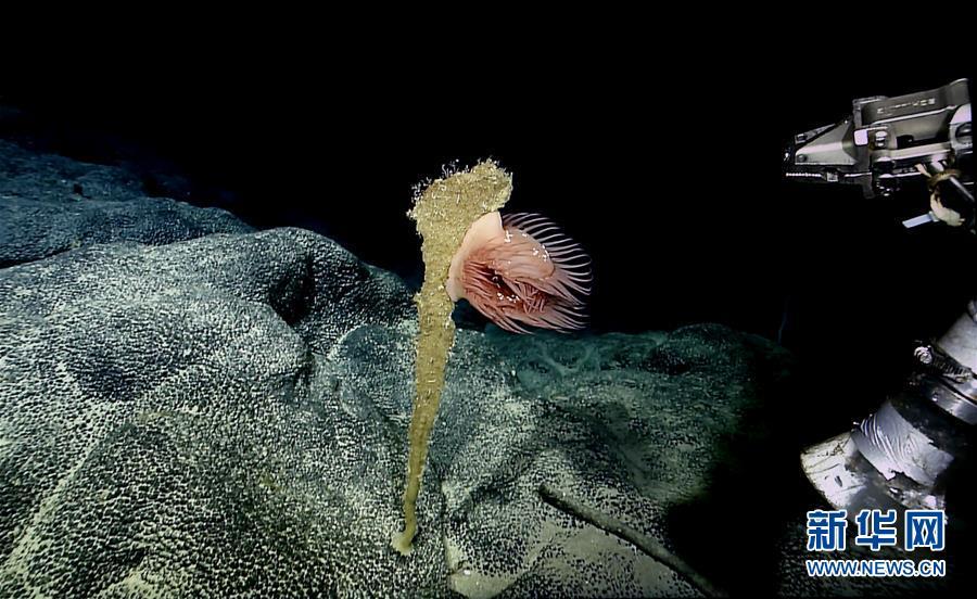 Galeria: Navio de pesquisa chinês enviado para expedição a montes submarinos