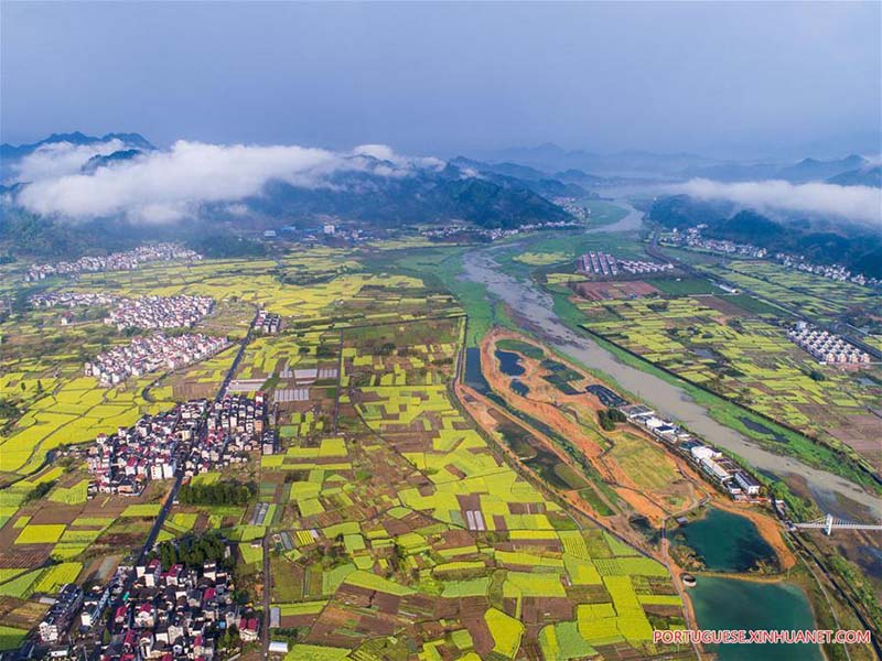 Parque pantonoso em Zhejiang é símbolo da melhoria ambiental local