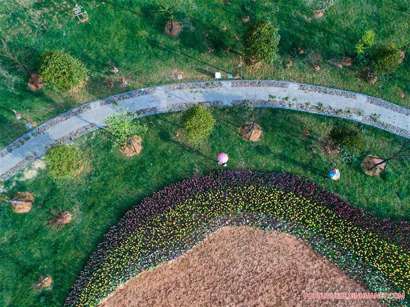 Parque pantonoso em Zhejiang é símbolo da melhoria ambiental local