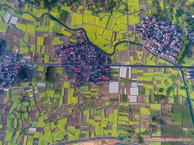 Parque pantonoso em Zhejiang é símbolo da melhoria ambiental local