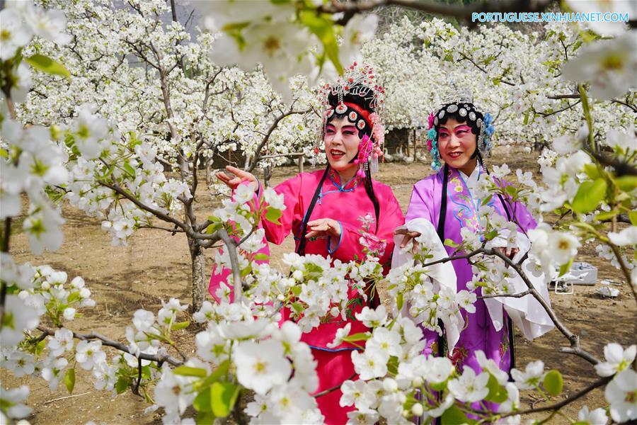 Fãs de ópera chinesa se apresentam em jardim de Tangshan