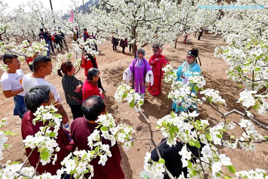 Fãs de ópera chinesa se apresentam em jardim de Tangshan