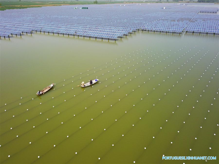 Pessoas trabalham em fazenda de pérolas em Jiangsu