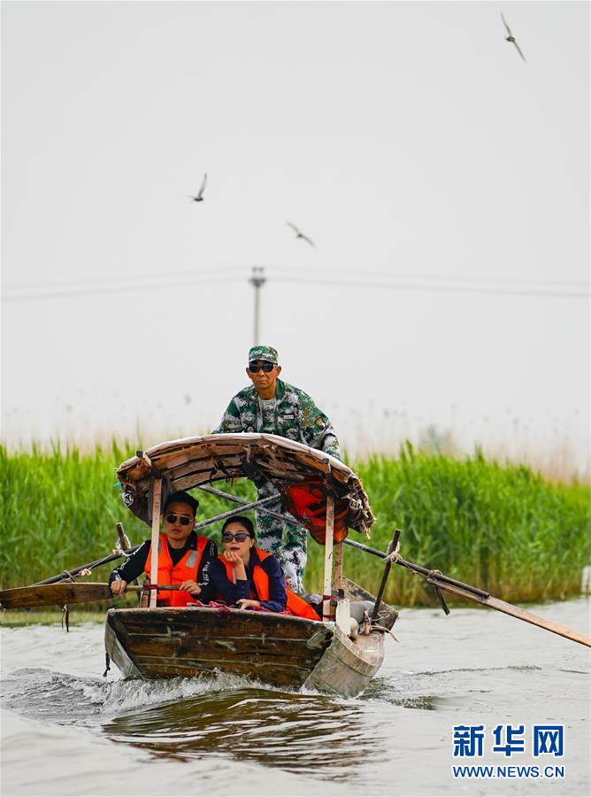 Galeria: Lago de Baiyangdian na Nova Área de Xiong’an