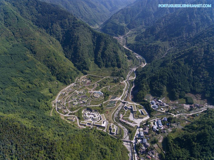 Base de proteção de Shenshuping abriga mais de 50 pandas gigantes em Sichuan, sudoeste da China