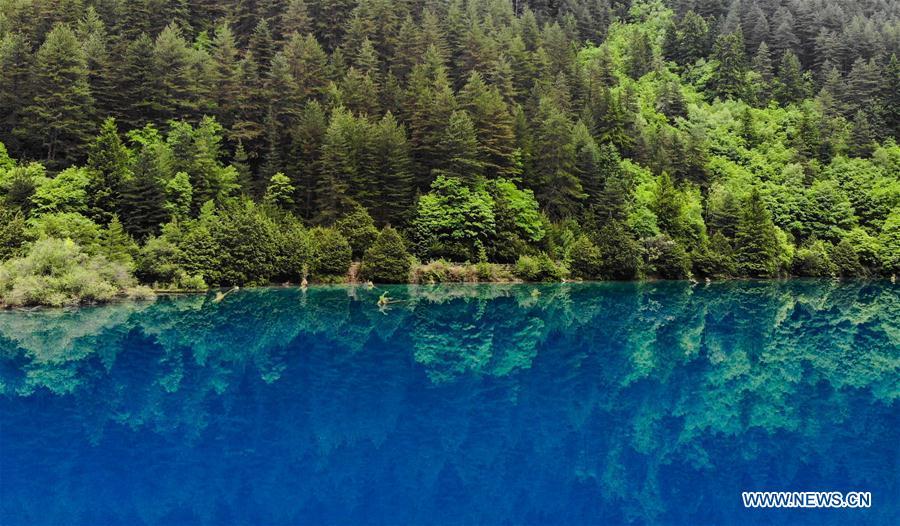 Panorama aéreo: Paisagem de Jiuzhaigou em Sichuan