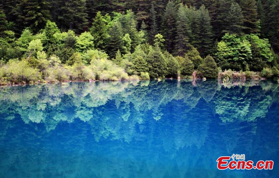 Panorama aéreo: Paisagem de Jiuzhaigou em Sichuan