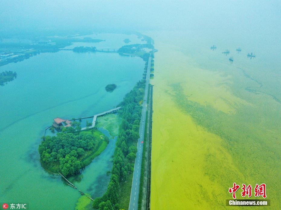 Lago Tai adquire coloração amarela devido ao excesso de algas