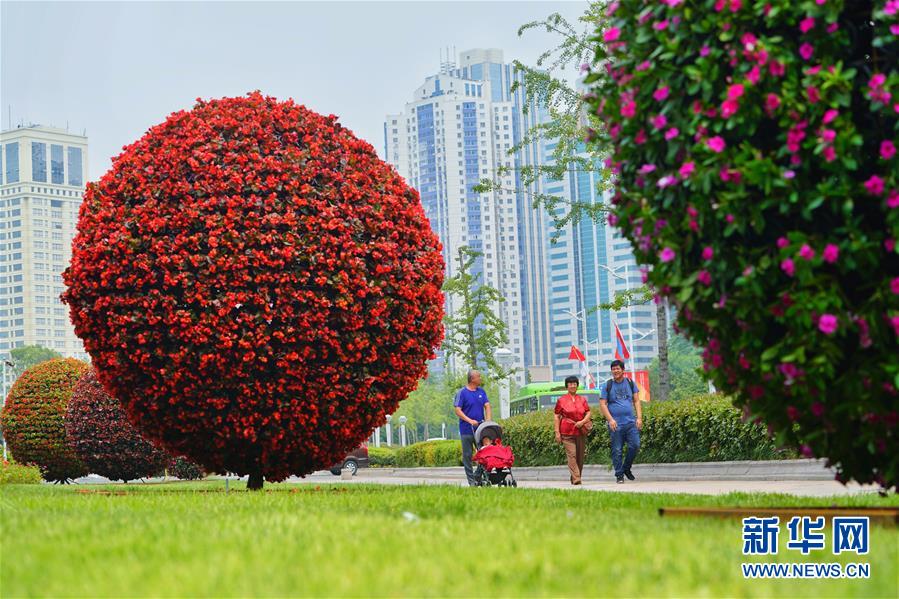 Conheça Qingdao, cidade anfitriã da Cúpula da OCS