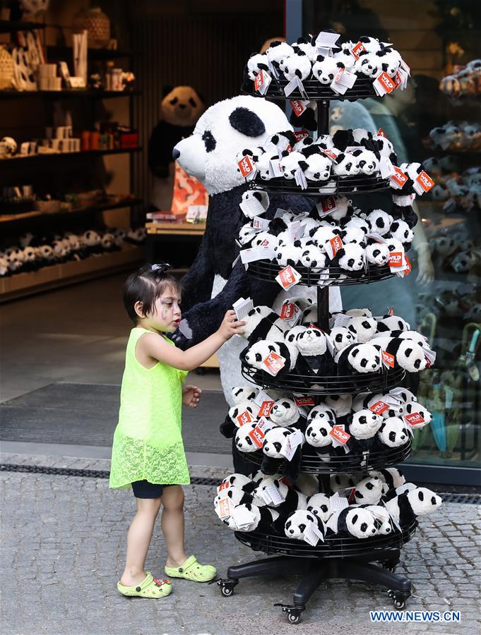 Pandas chineses viram estrelas no Jardim Zoológico de Berlim