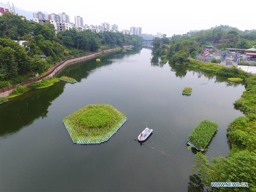 Ilhas artificiais construídas para purificação de água no leste e sudoeste da China