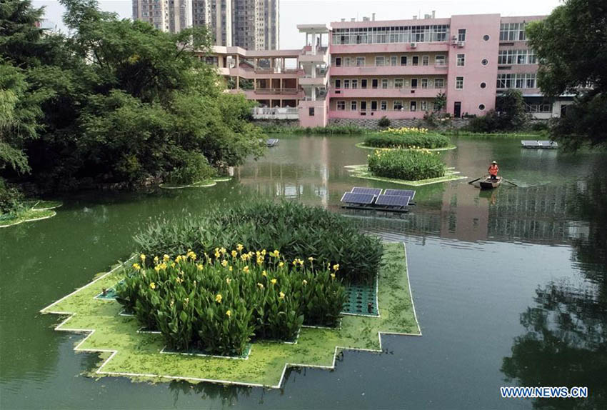 Ilhas artificiais construídas para purificação de água no leste e sudoeste da China