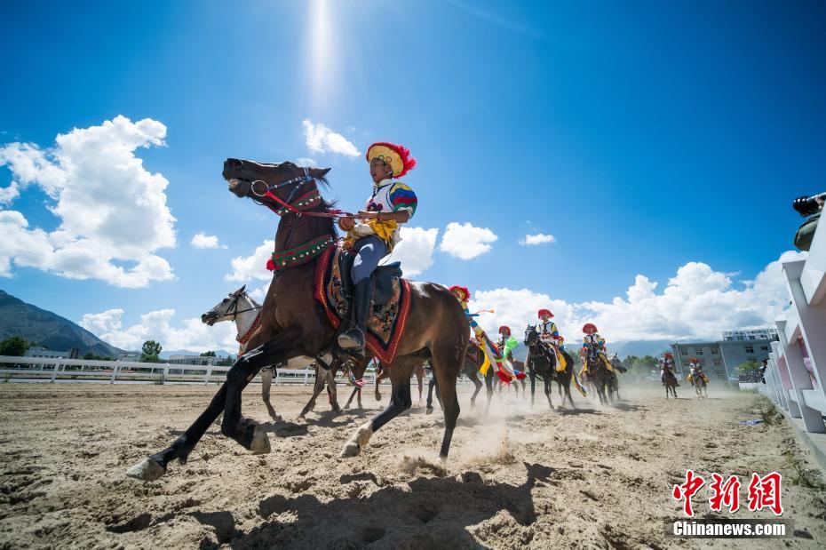 Galeria: Shows equestres no Festival Sho Dun