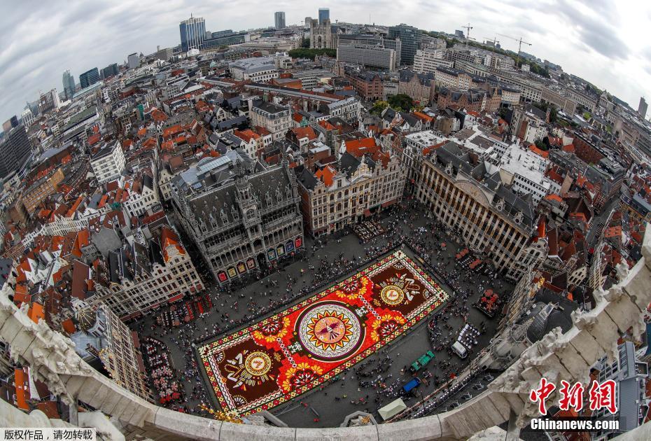 Bélgica exibe tapete de flores de 1.800 metros quadrados