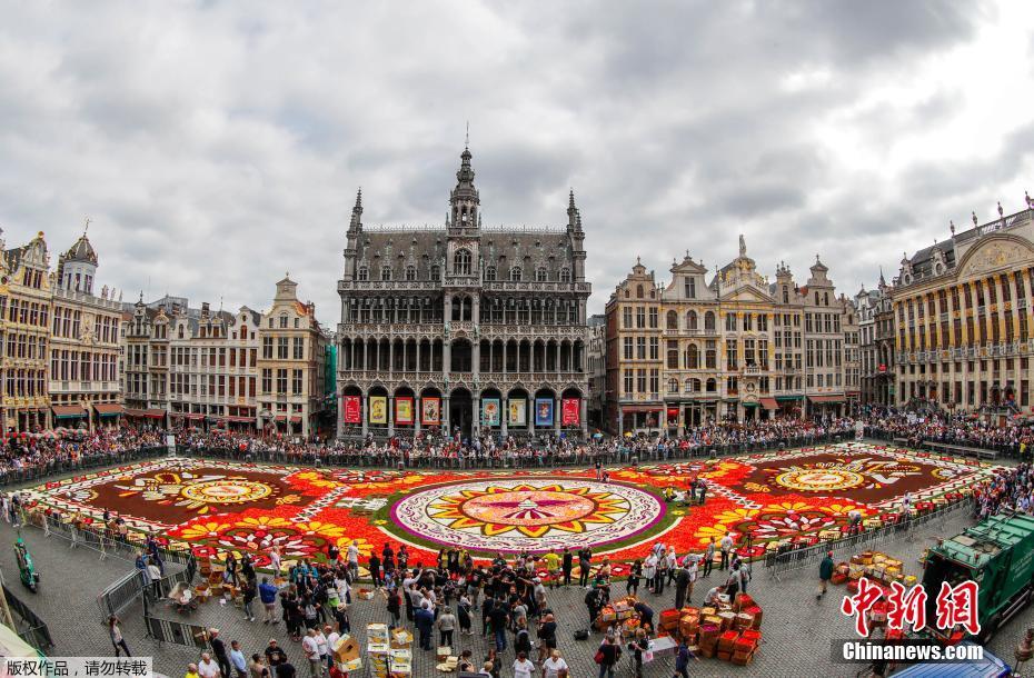 Bélgica exibe tapete de flores de 1.800 metros quadrados