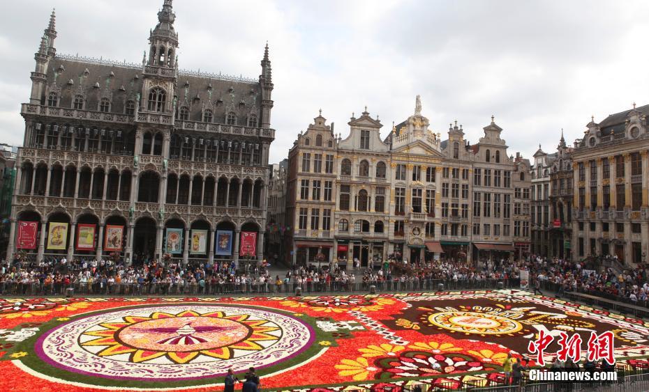 Bélgica exibe tapete de flores de 1.800 metros quadrados