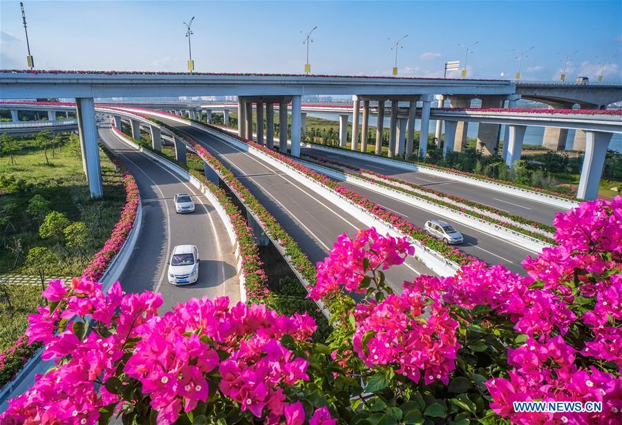 Galeria: Ponte Houzhu em Quanzhou decorada com flores