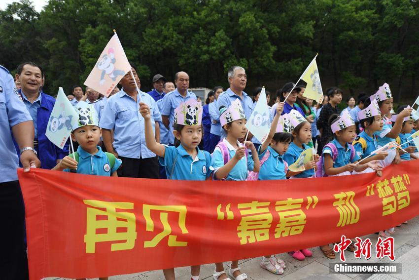 Pandas regressam a Sichuan após de 3 anos em Jilin