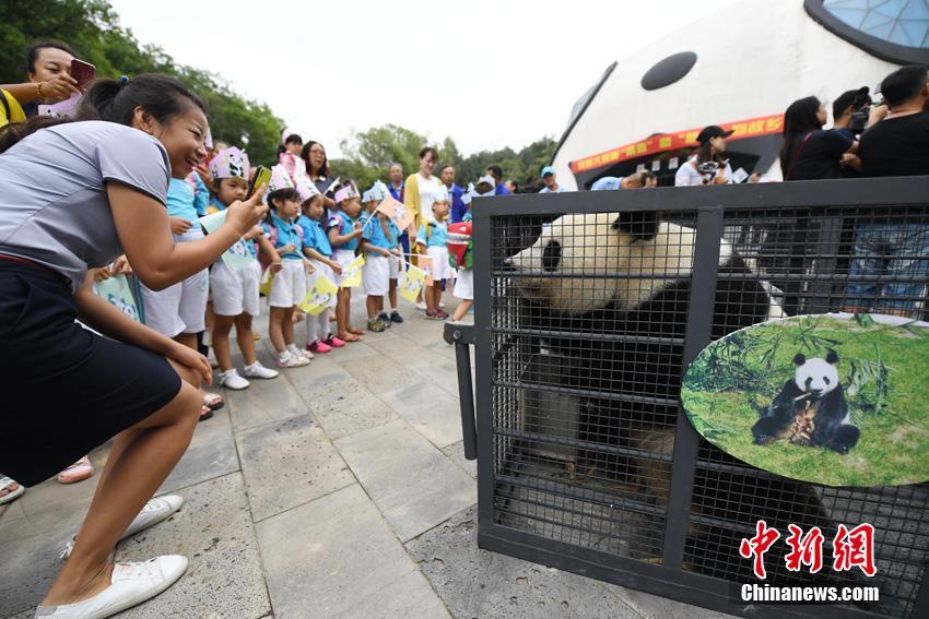 Pandas regressam a Sichuan após de 3 anos em Jilin