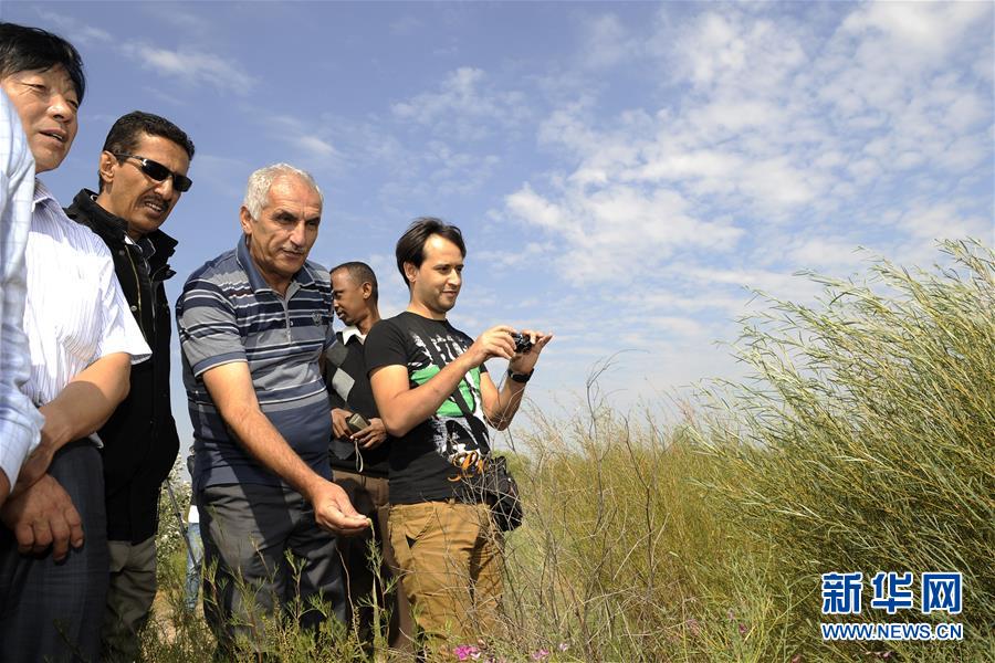 China auxilia proteção do meio-ambiente ao longo do Cinturão e Rota