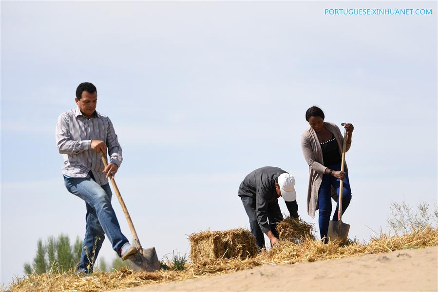 Estudantes africanos aprendem sobre combate à desertificação na China
