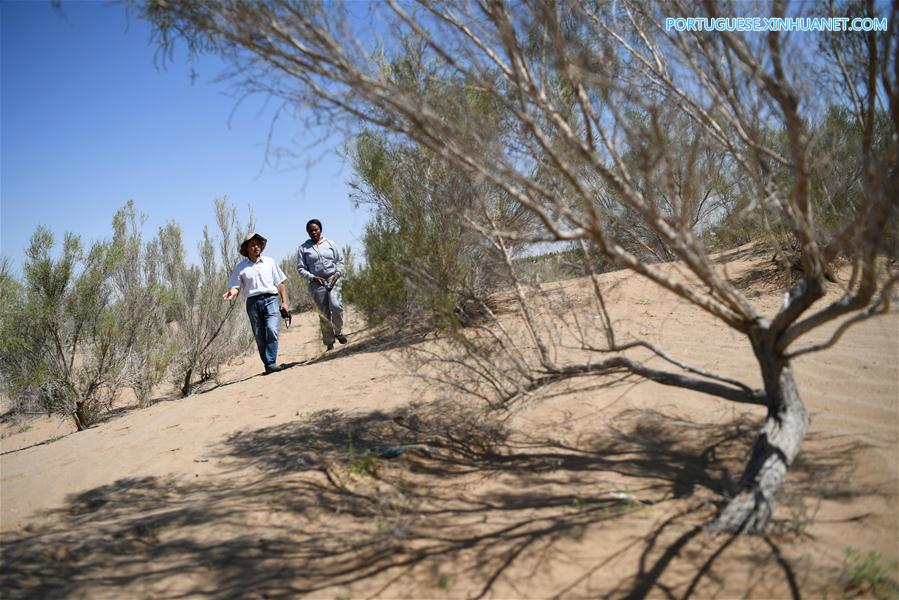 Estudantes africanos aprendem sobre combate à desertificação na China