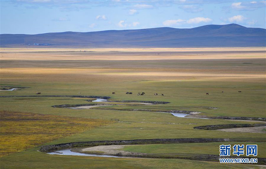 Paisagem da pradaria Ulgai em Xilingol, norte da China