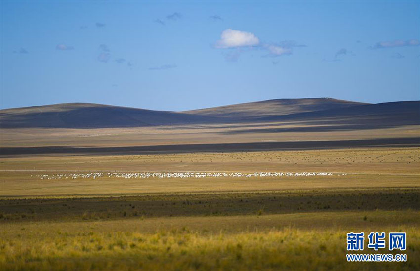 Paisagem da pradaria Ulgai em Xilingol, norte da China