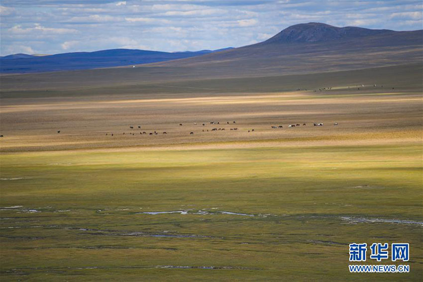 Paisagem da pradaria Ulgai em Xilingol, norte da China