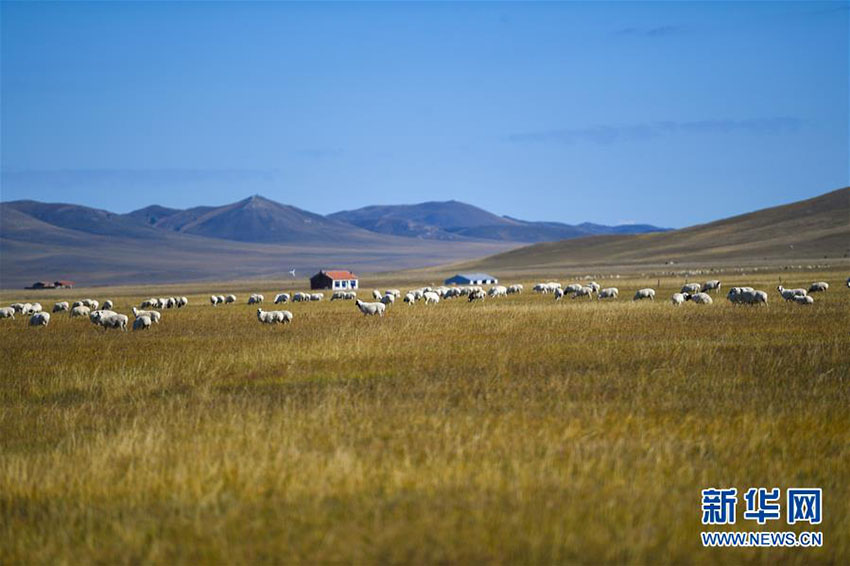 Paisagem da pradaria Ulgai em Xilingol, norte da China