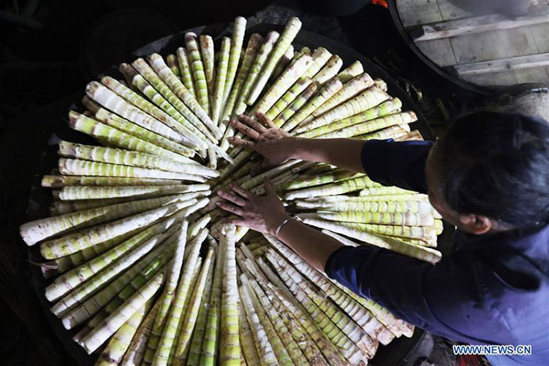 Indústria de bambu aumentam rendimento dos habitantes em Guizhou