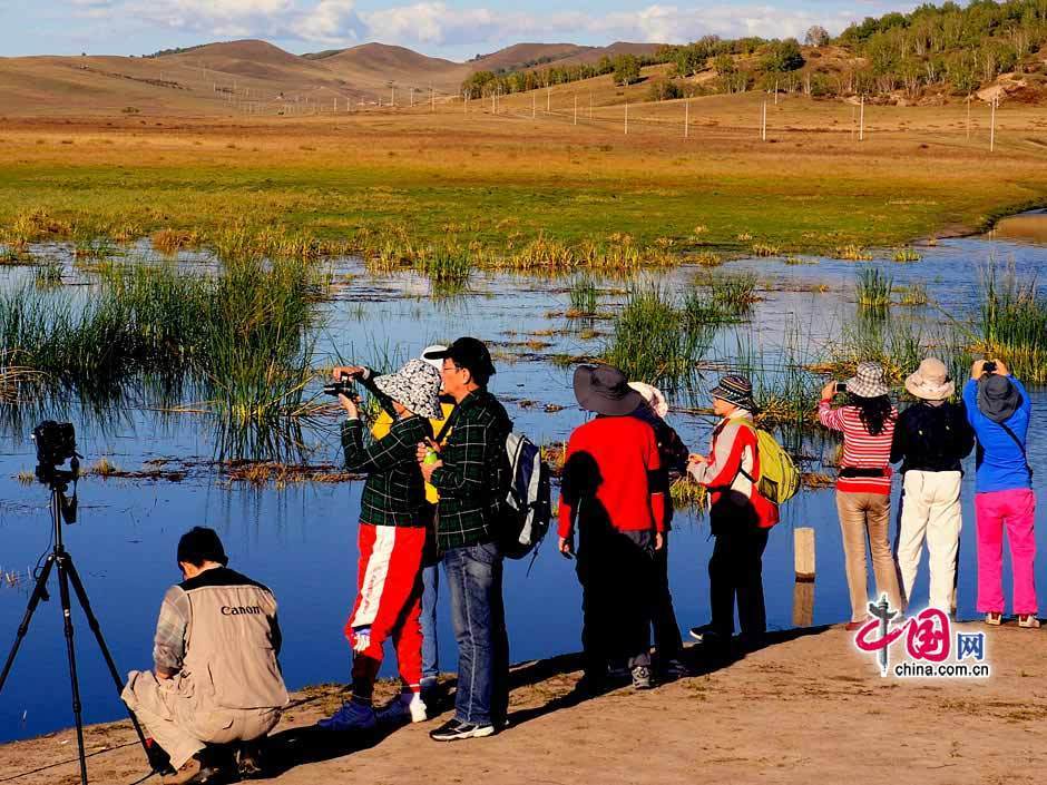 Galeria: Paisagem outonal das pastagens de Bashang