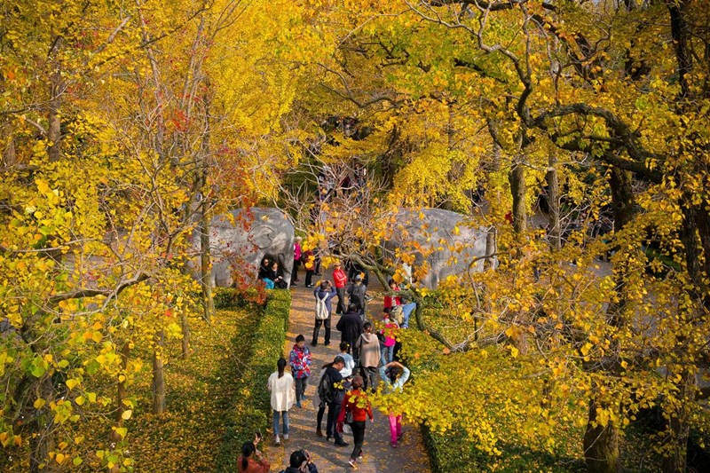Galeria: Paisagem outonal em Nanjing atrai turistas