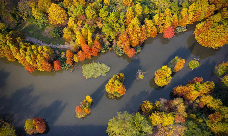 Galeria: Paisagem outonal em Nanjing atrai turistas