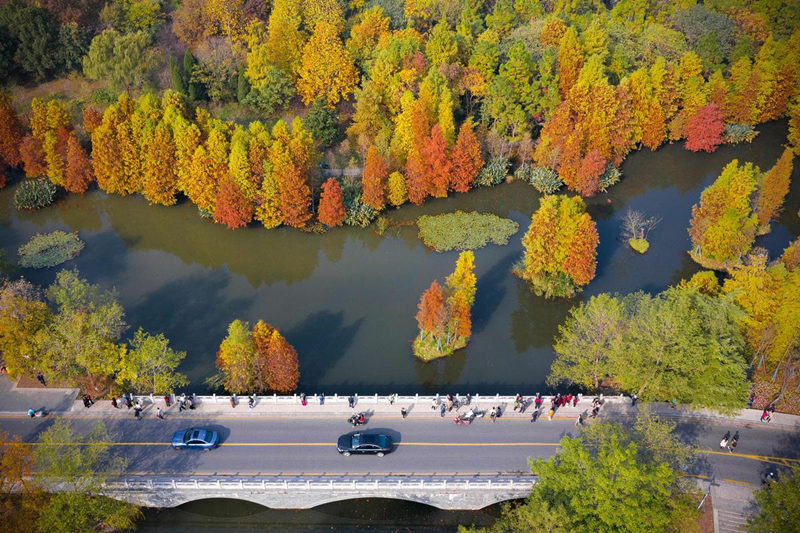 Galeria: Paisagem outonal em Nanjing atrai turistas