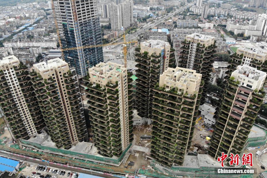 Chengdu aposta na criação de “bosques verticais”