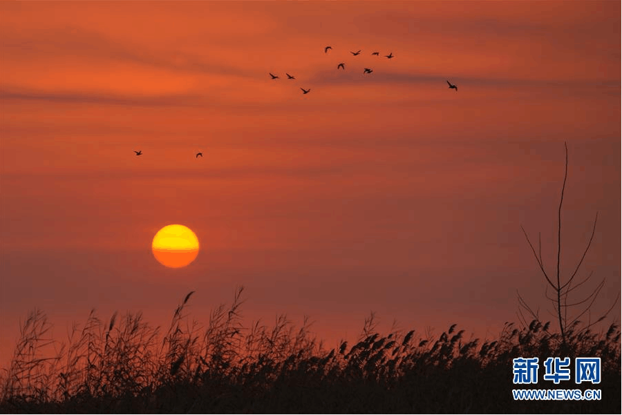 Galeria: Nascer do sol em Baiyangdian