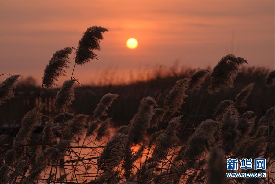 Galeria: Nascer do sol em Baiyangdian