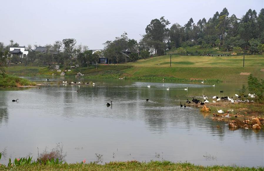 12ª Exposição Internacional de Jardim da China realiza-se em Nanning, sul da China