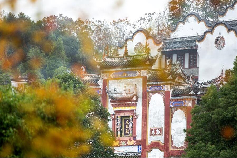 Fotos: Folhas de bordo em tons de vermelho em Hubei