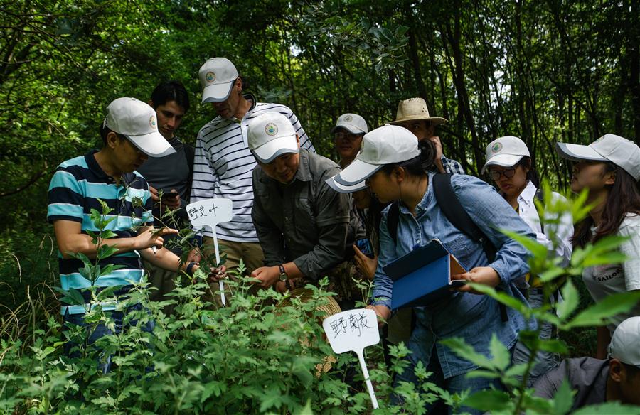 Turismo de saúde com foco na medicina tradicional chinesa passa por fase de ouro para o desenvolvimento