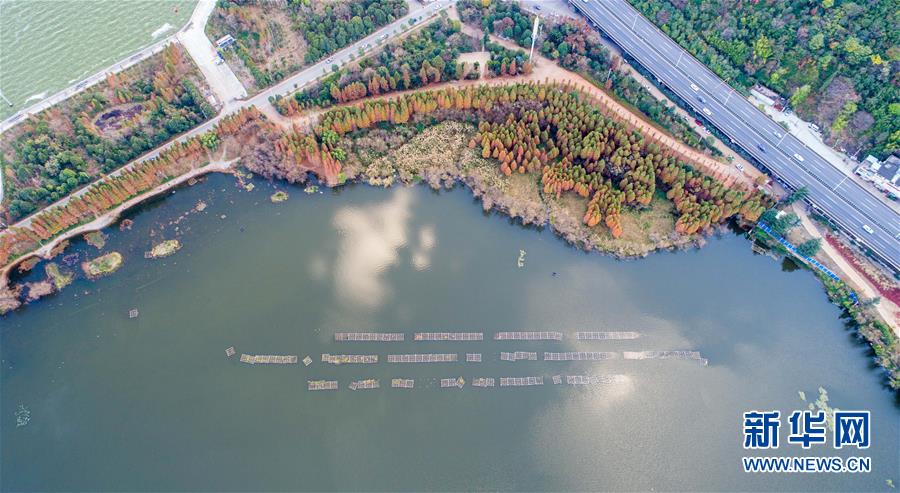 Qualidade da água do Lago Dianchi eleva para classe IV em 2018 