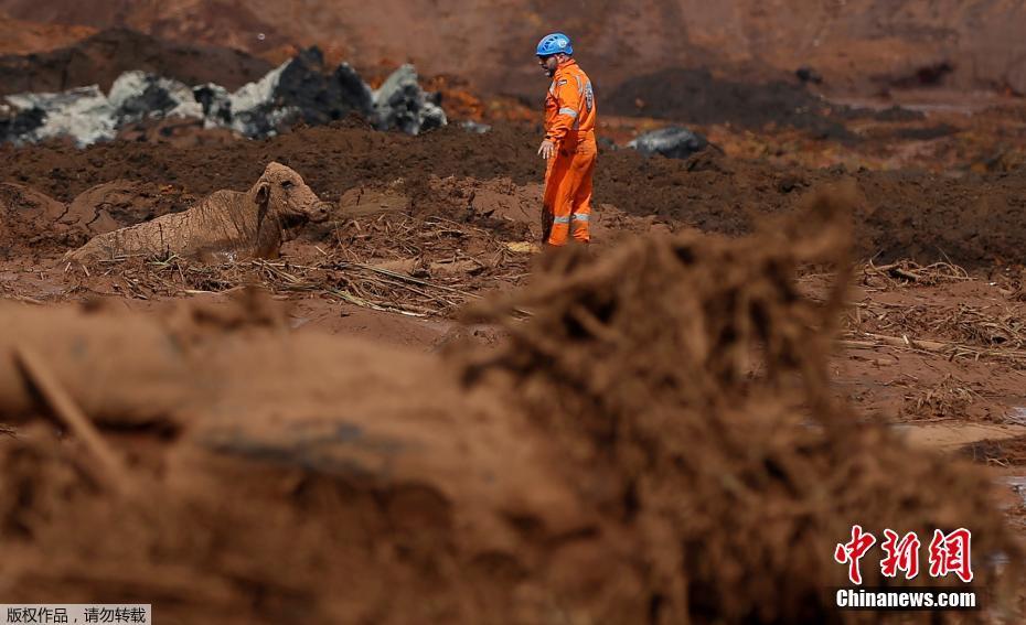 Rompimento da barragem em Brumadinho deixa rasto de mortes e desaparecimentos