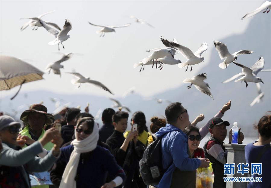 Viagens na Festa da Primavera geram US$ 76,21 bilhões em receita turística na China